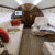 Elite Voyager | Gulfstream G450