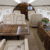 Elite Voyager | Gulfstream G450
